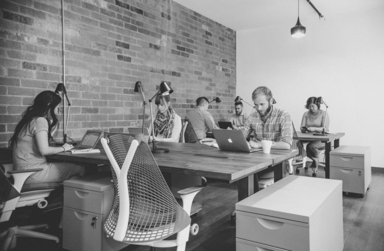 Farnelo founder reviewing course content